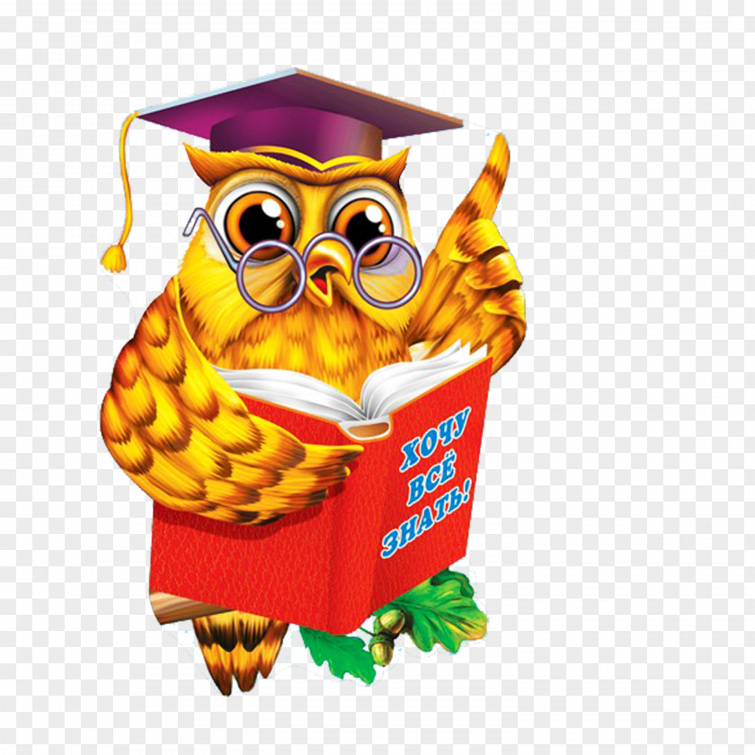 Owl Diploma Kindergarten School Paper Educator PNG