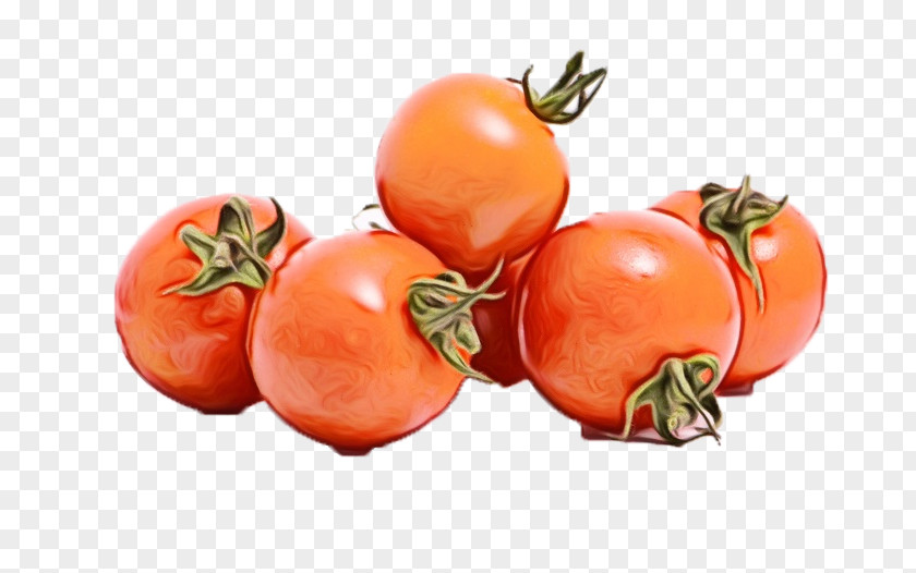 Vegetarian Food Superfood Tomato Cartoon PNG