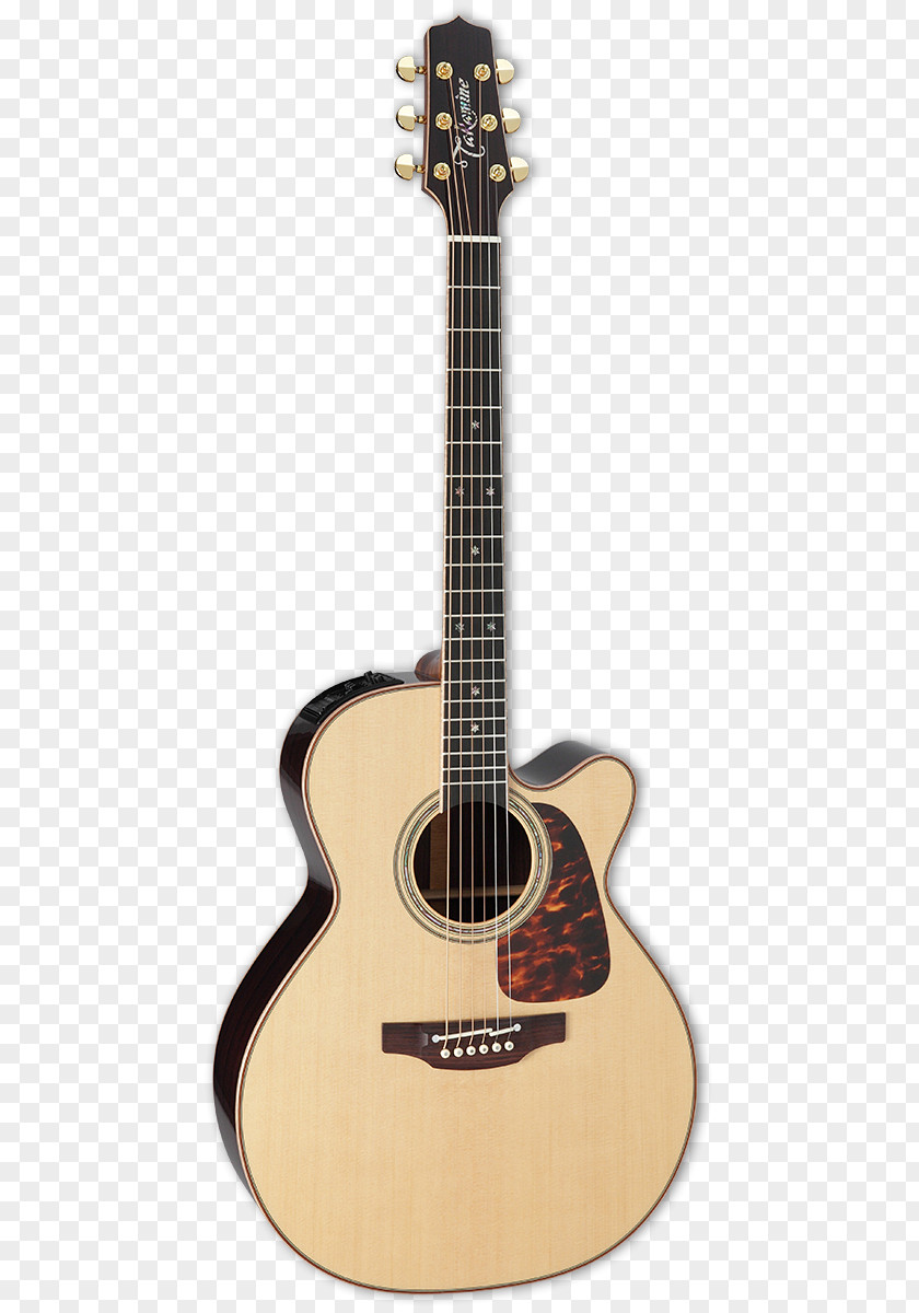 Acoustic Guitar Steel-string Acoustic-electric Dreadnought PNG