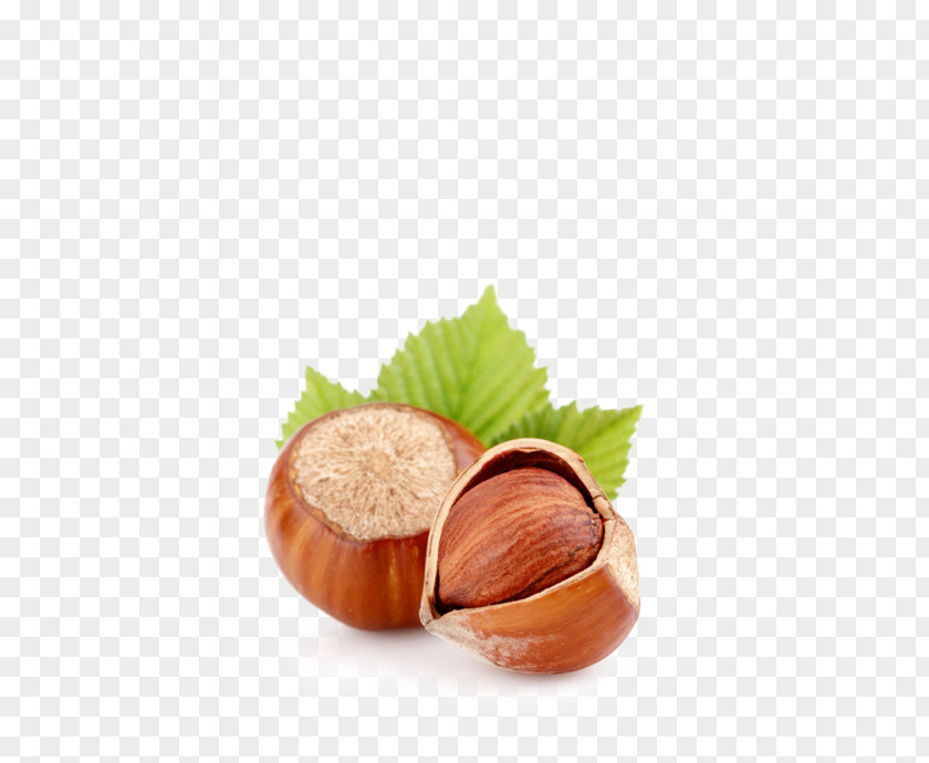 Hazelnut Dried Fruit Almond Walnut PNG