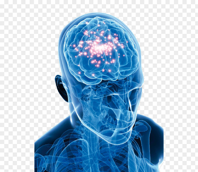 高清iphonex Epilepsy Medicine Neurology Neurosurgery Neurofeedback PNG