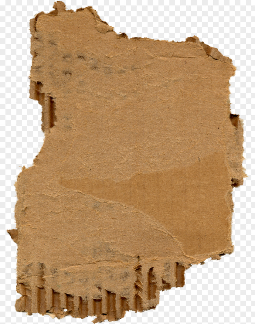 Pests Paper Cardboard Box Corrugated Fiberboard PNG