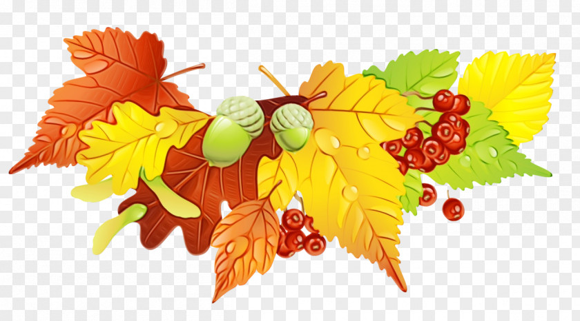 Food Deciduous Autumn Leaves Drawing PNG
