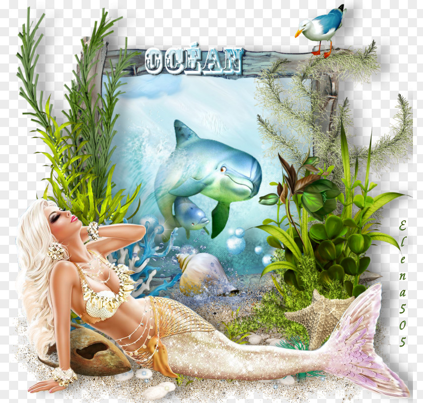 Marine Biology Ecosystem Mammal Fauna Desktop Wallpaper PNG