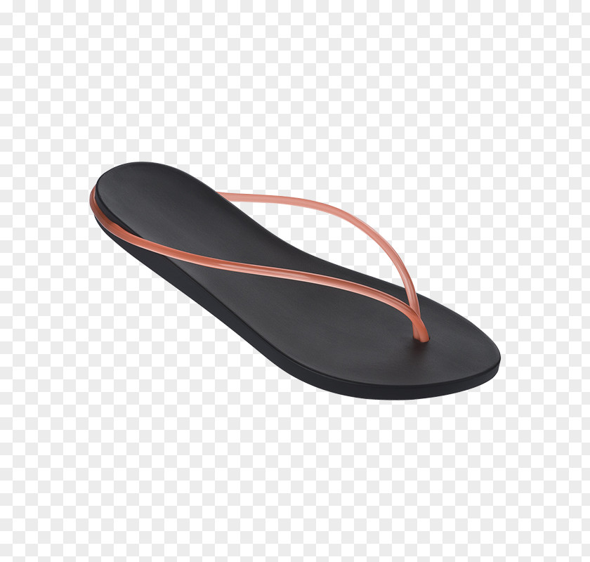 Sandal Ipanema Flip-flops Slipper Shoe PNG