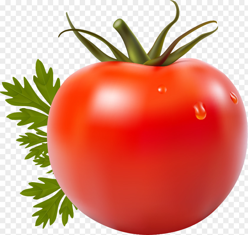 Vegetable Tomato Juice San Marzano Cherry PNG