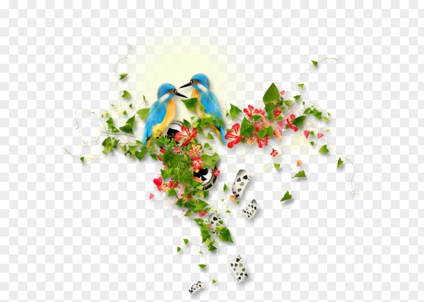 Desktop Wallpaper Body Jewellery PNG