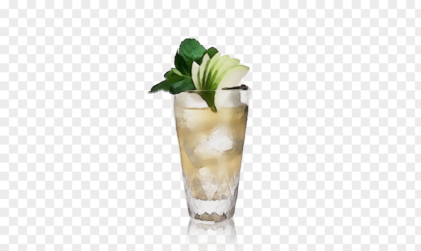 Garnish Mojito PNG