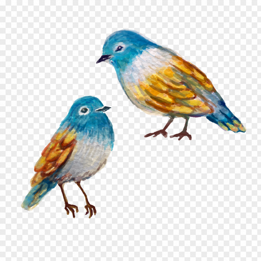 Painting Birds Bird Finch Watercolor PNG