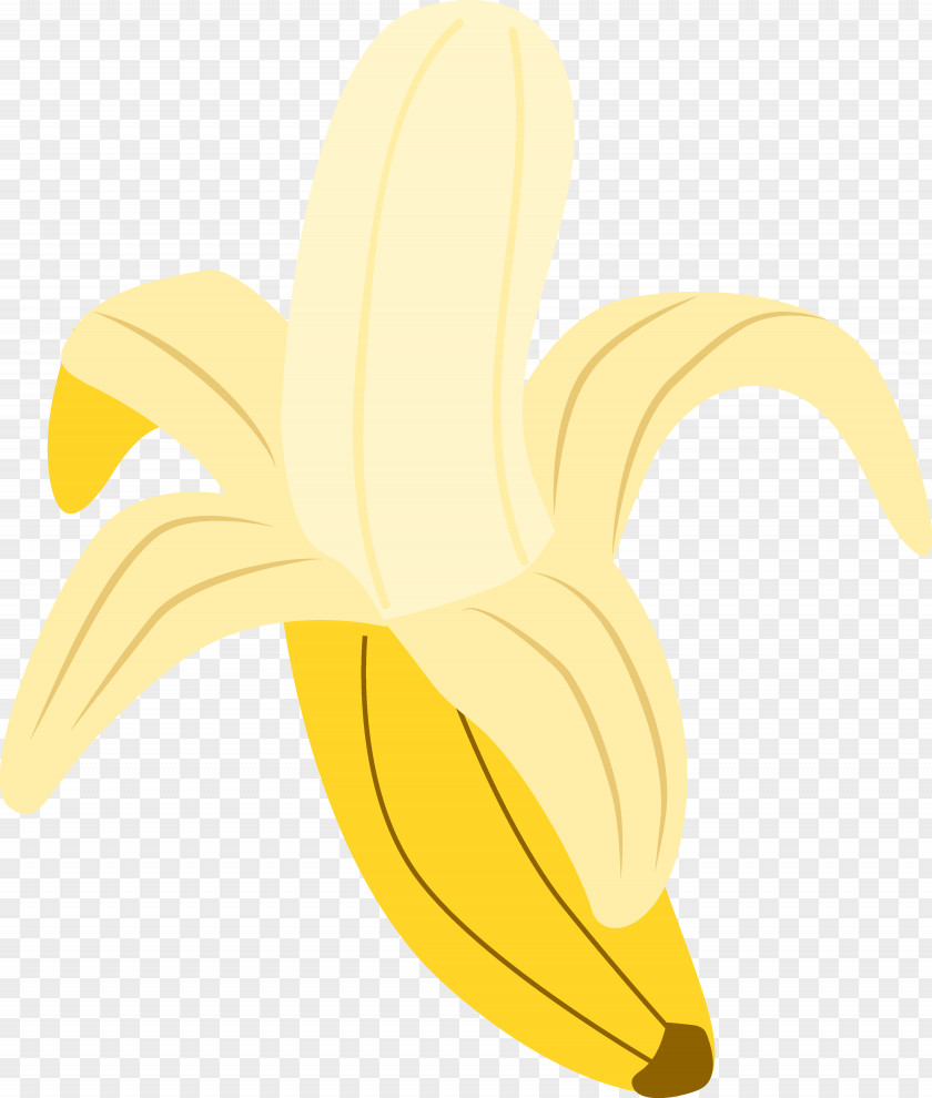 Peel Cliparts Banana Clip Art PNG