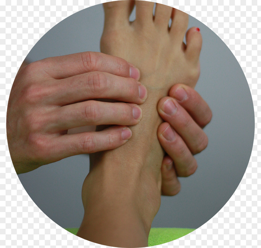 Portrait Photo Osteopathy Manual Therapy Waltenhofen Hand Model PNG