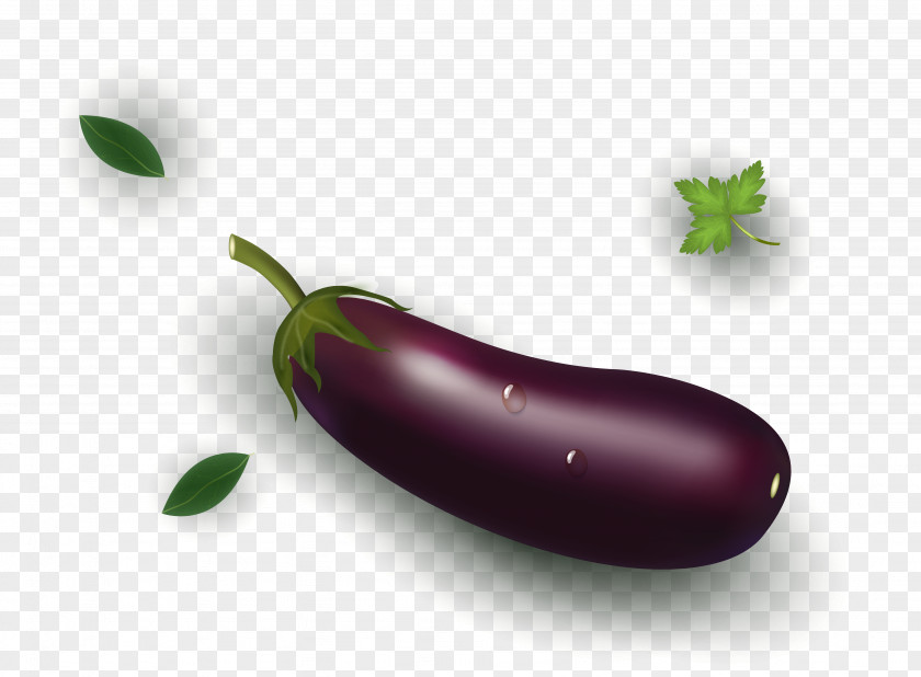 Vector Texture Realistic Eggplant Material PNG