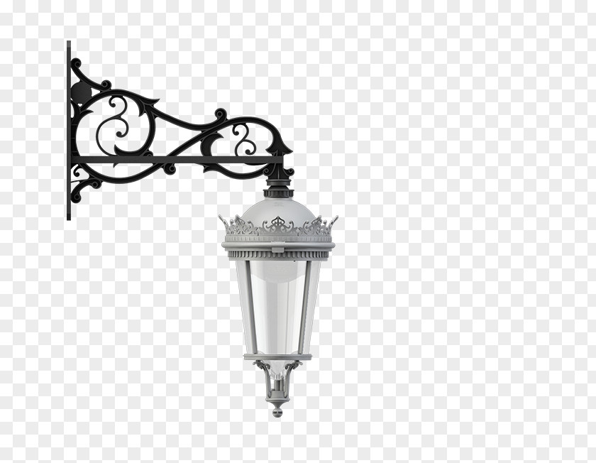 Arrangements Ornament Product Design Ceiling Fixture PNG