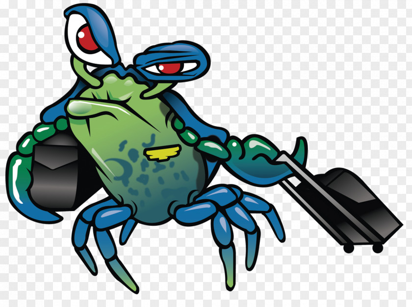 Crab Clip Art Illustration Decapods Frog PNG