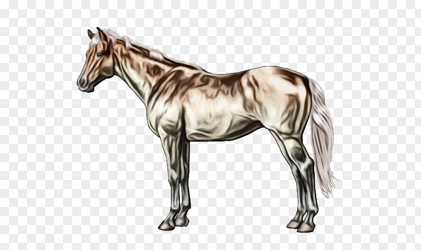 Liver Mustang Horse Animal Figure Mare Sorrel Mane PNG