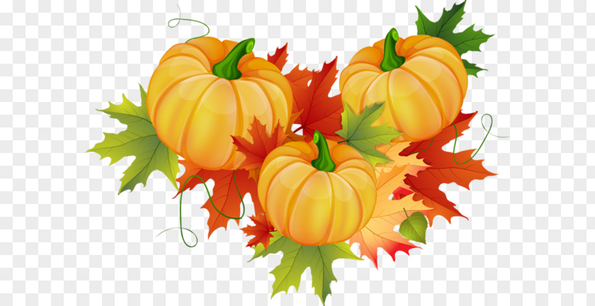 Pumpkin Harvest Cucurbita Pepo Thanksgiving Clip Art PNG