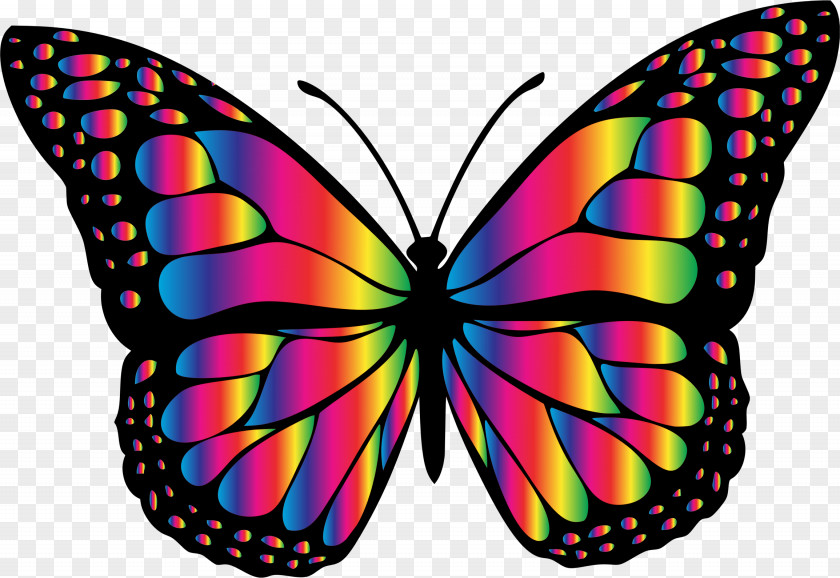 Rainbow Monarch Butterfly T-shirt Tourette Syndrome Clip Art PNG
