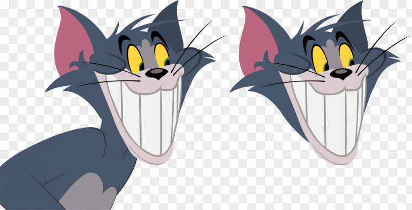Tom And Jerry Toodles Galore Cat Cartoon Butch PNG