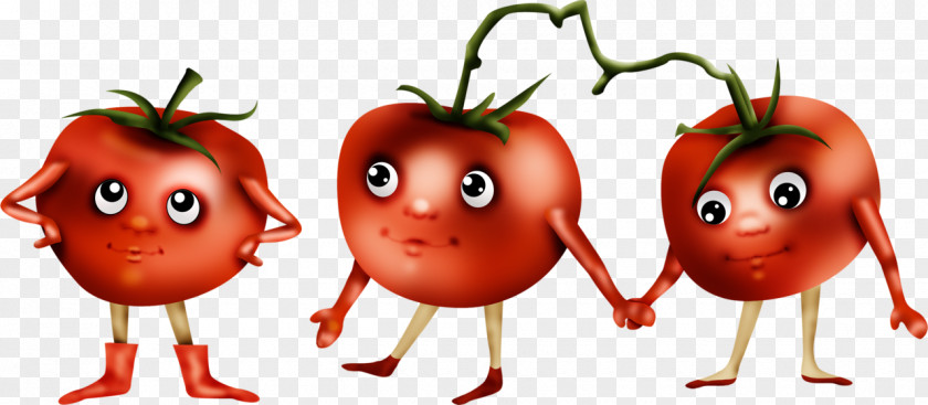 Tomato Food Clip Art PNG
