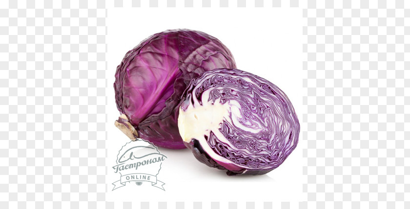 Vegetable Organic Food Capitata Group Red Cabbage PNG