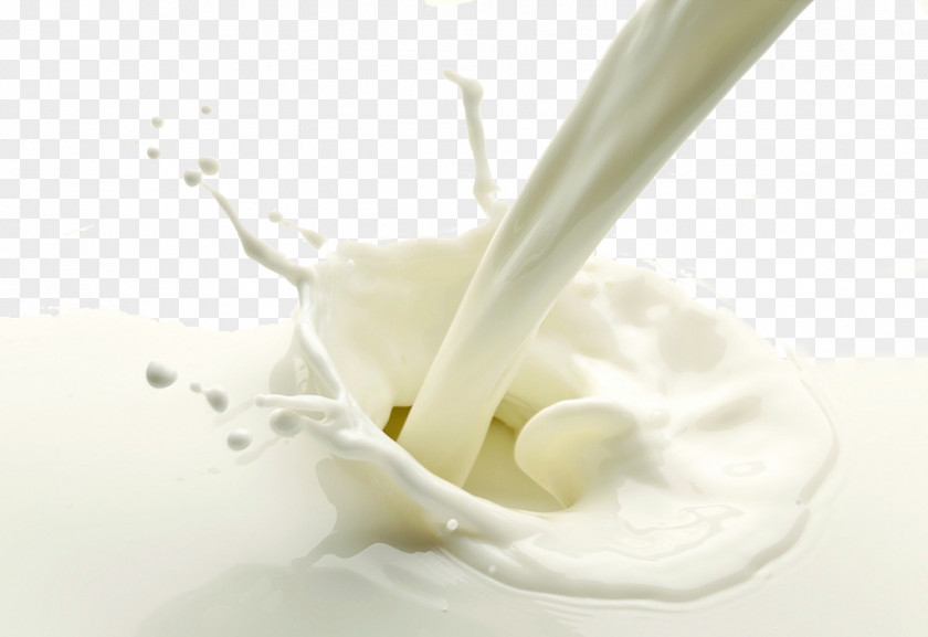 Milk Skimmed Cream Dairy Product Raw PNG