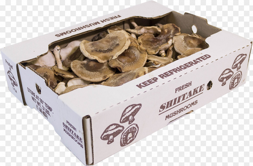 Mushroom Shiitake Edible Oyster Hen-of-the-wood PNG