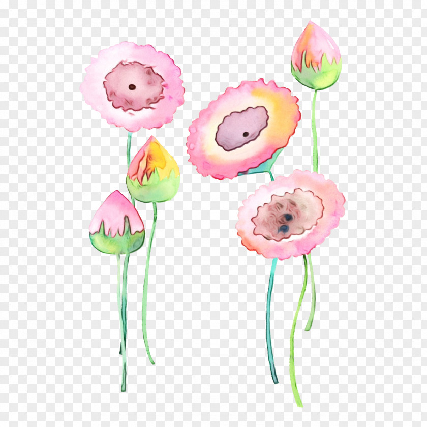 Plant Stem Pink Cut Flowers Flower PNG