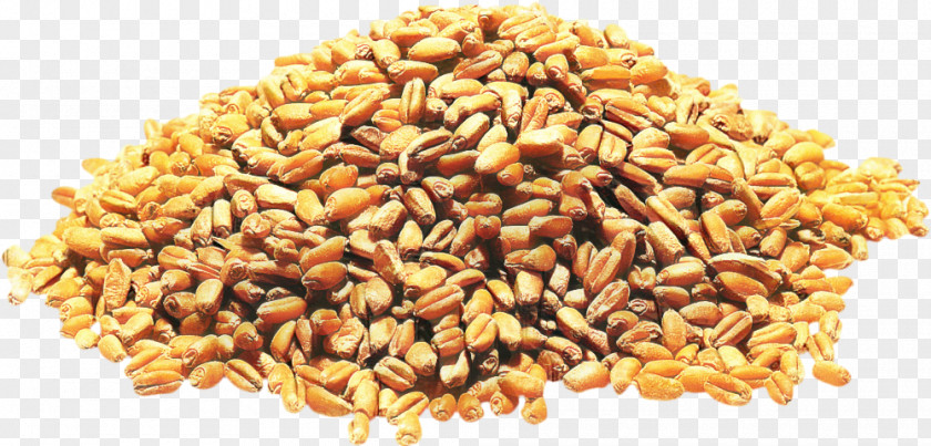 Superfood Malt Wheat Cartoon PNG