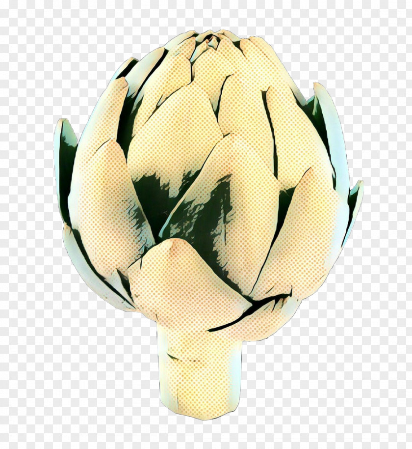 Vegetable Petal Artichoke Flower Yellow Plant Tulip PNG