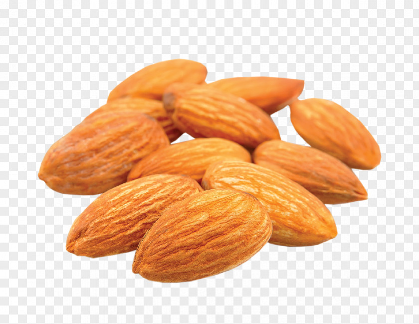 Almonds Nut Raw Foodism Cashew Almond Organic Food PNG