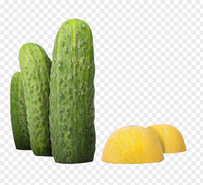 Cucumber And Melon Proximity Madrid Advertising Agency Creativity PNG