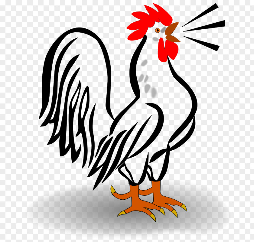 Rooster Cartoon Images Houdan Chicken Leghorn Hamburg Cochin PNG