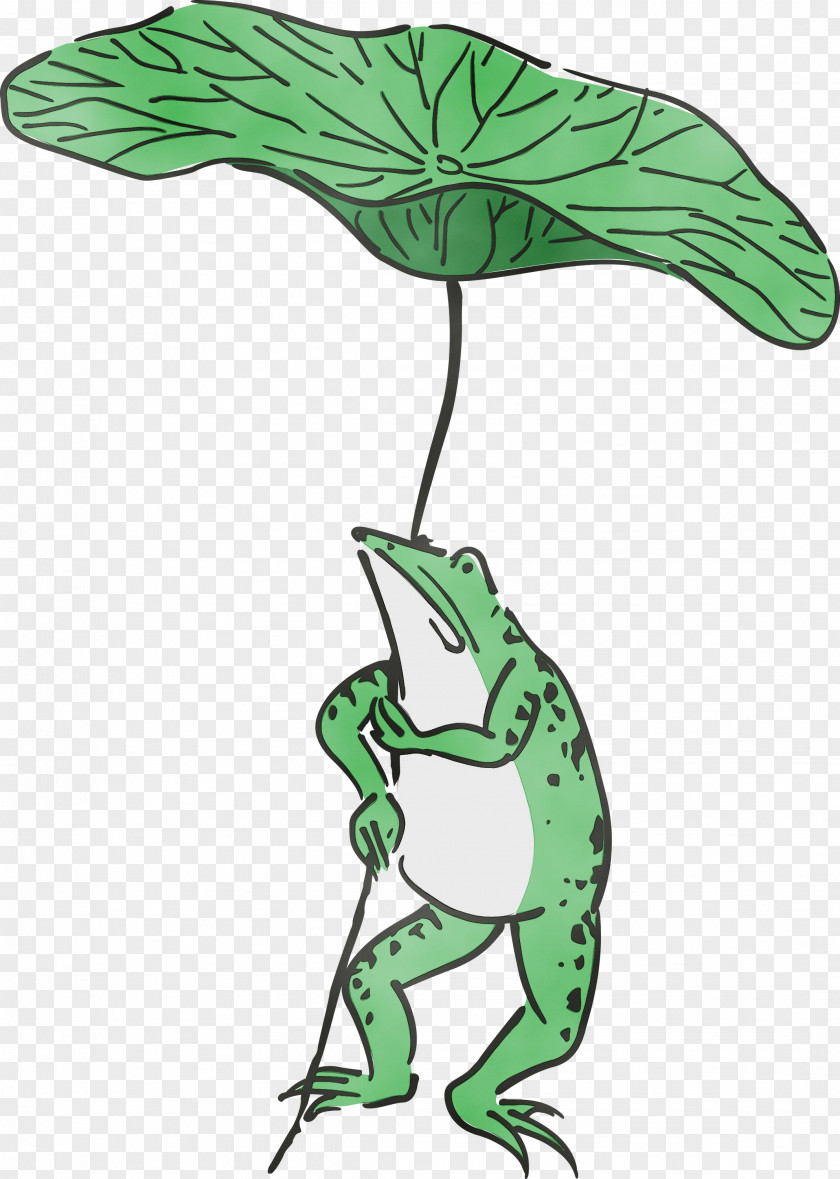 True Frog Plant Stem Leaf Tree Frogs PNG