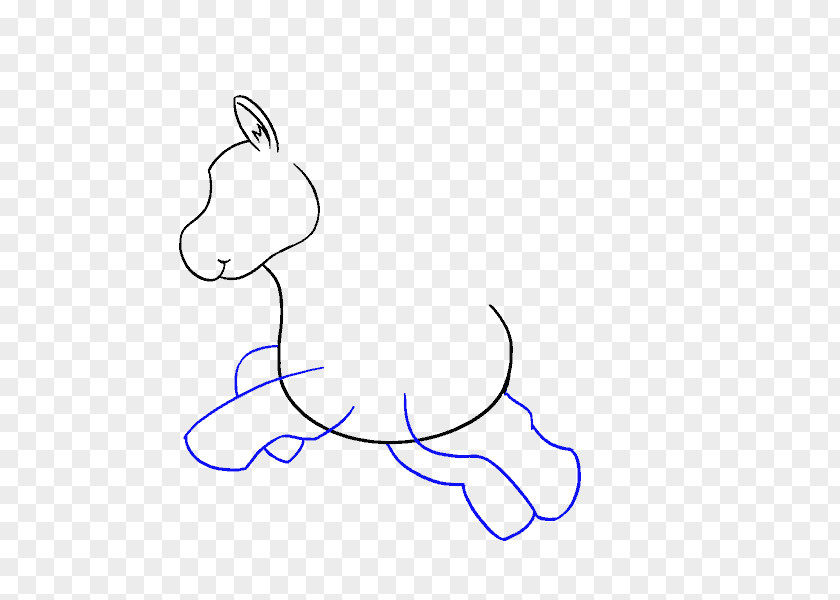 Unicorn Head Drawing Line Art PNG
