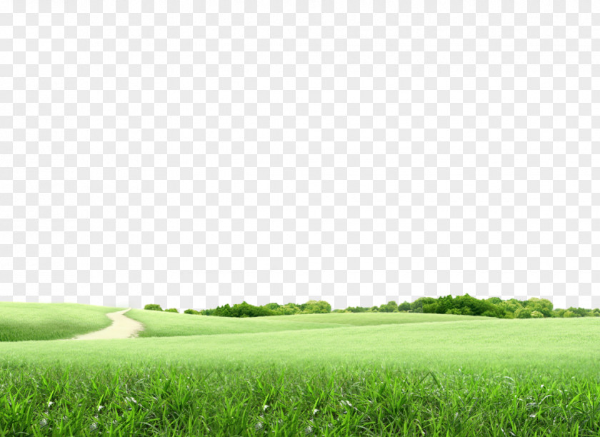 Design Lawn Golf Course Landscape Architecture PNG