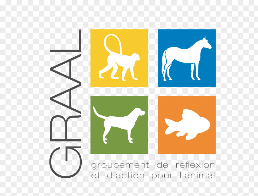 Dog Holy Grail Voluntary Association Animal Testing PNG