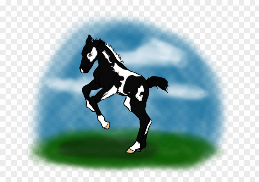 Mustang Stallion Colt Halter Pony PNG