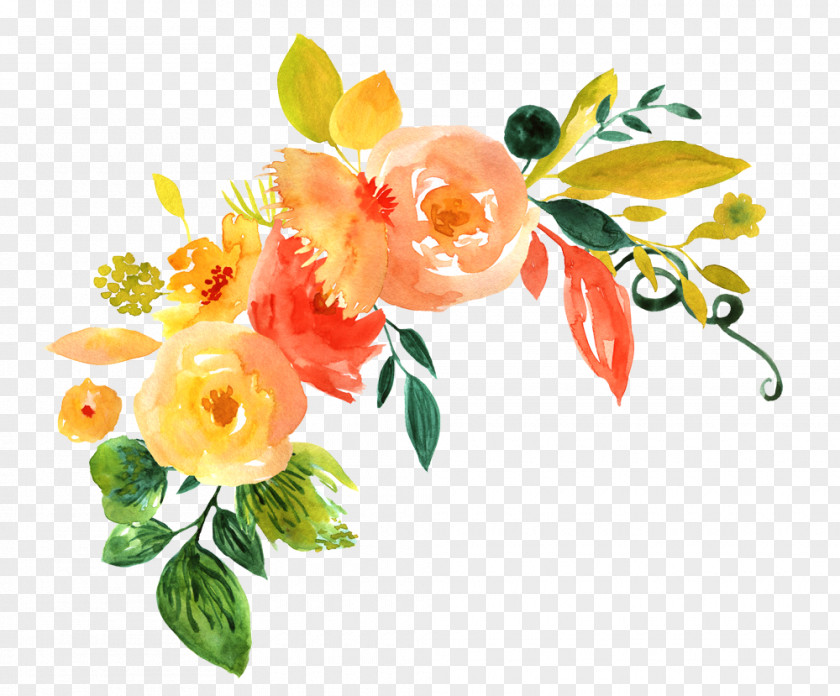 Painting Floral Design Watercolor Watercolour Flowers Watercolor: PNG