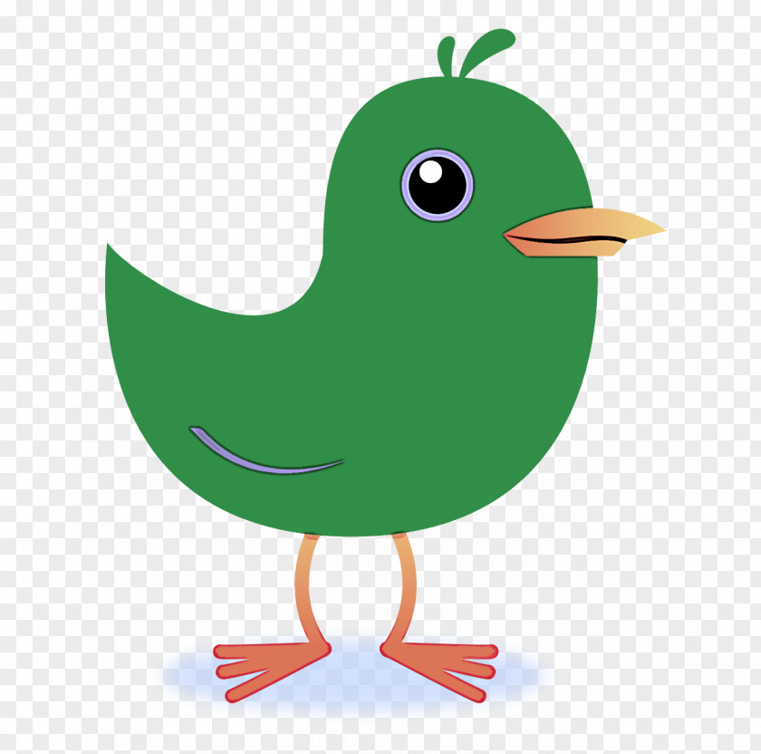 Perching Bird Cartoon Beak Green Clip Art PNG
