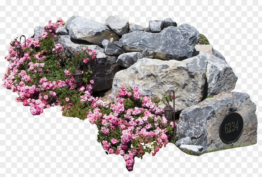 Rock Cut Flowers Plant Shrub Tree PNG