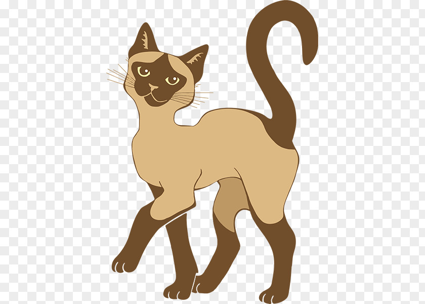 Fawn Siamese Kitten Cartoon PNG