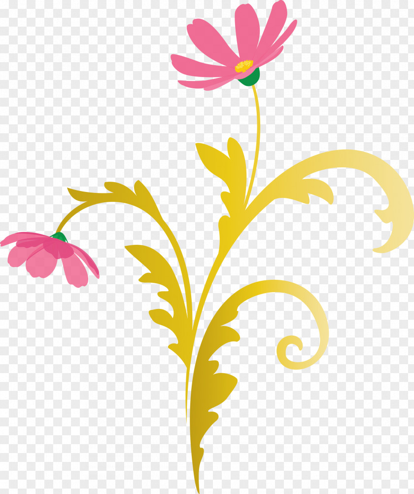 Flower Frame Floral PNG