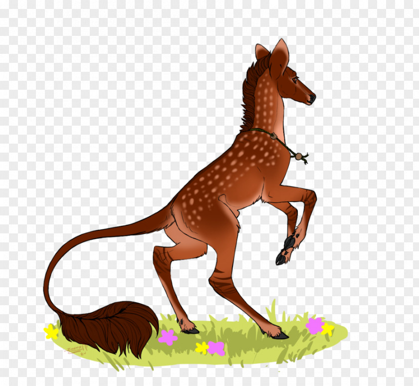Giraffe Mustang Freikörperkultur Animal Wildlife PNG