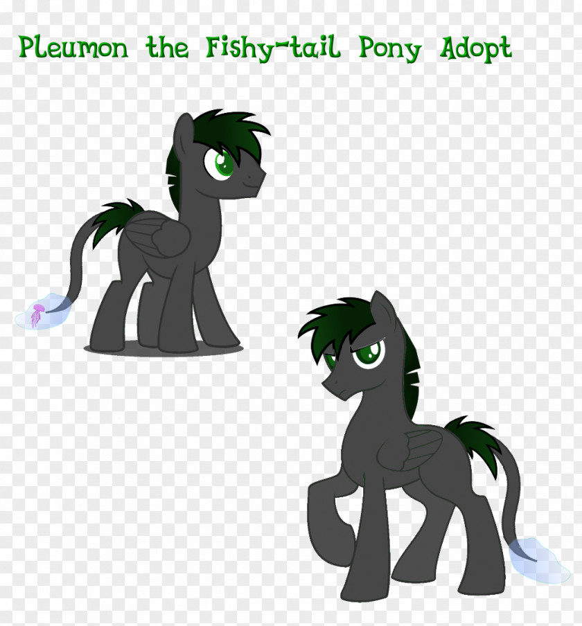 Horse Pony Cat Mammal Carnivora PNG