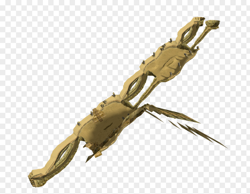 Sand Hill Weapon Decapods PNG