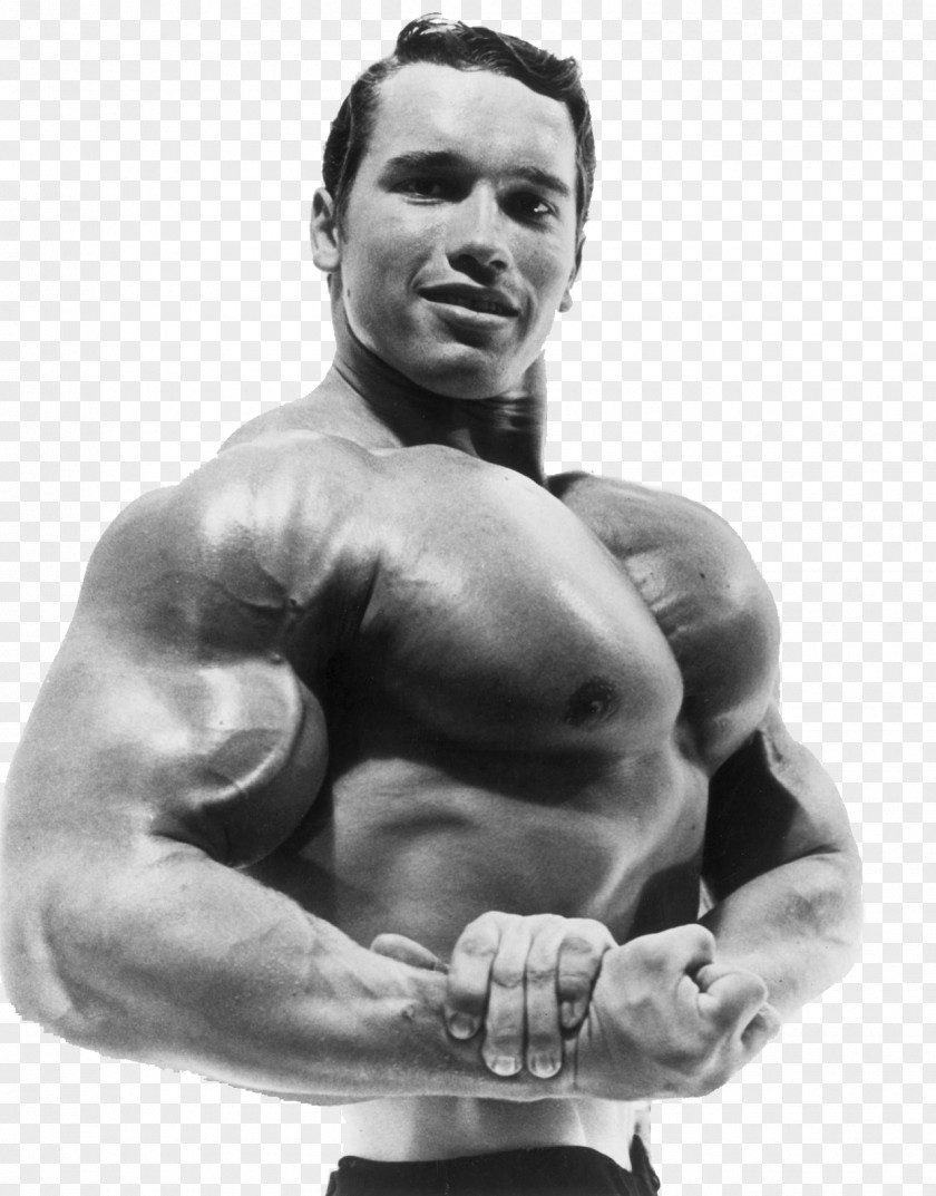 Arnold Schwarzenegger Mr. Olympia Universe Championships Bodybuilding Actor PNG