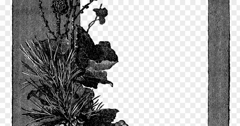 Botanist Badge Vector Graphics Clip Art Psd Image PNG