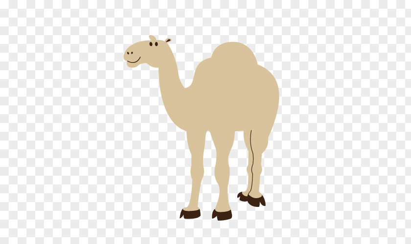 Camel Vector Design Elements Dromedary Clip Art PNG