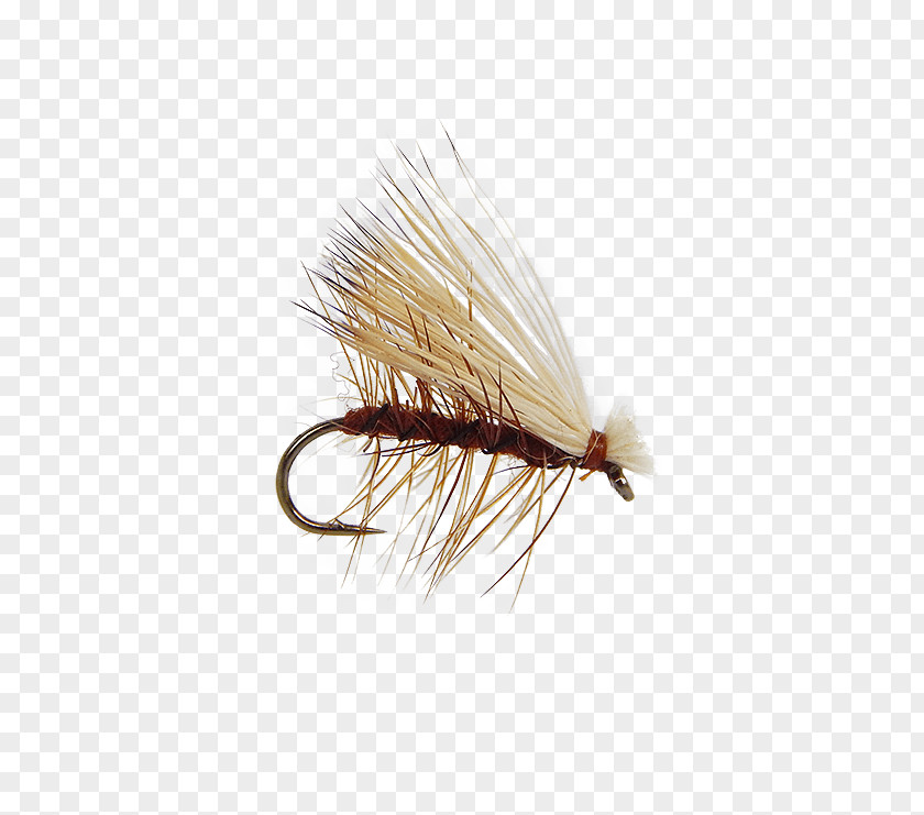 Fly Tying Artificial Fishing Holly Flies Insect PNG