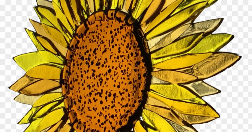 Glass Common Sunflower Fused Fusing Art PNG